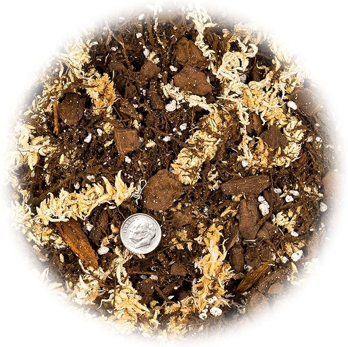 Premium Orchid Mix by GARDENERA | Fern + New Zealand Pine Bark + Sphagnum Moss + Perlite | Best for Growing and Repotting Orchids - 3 Quart Bag