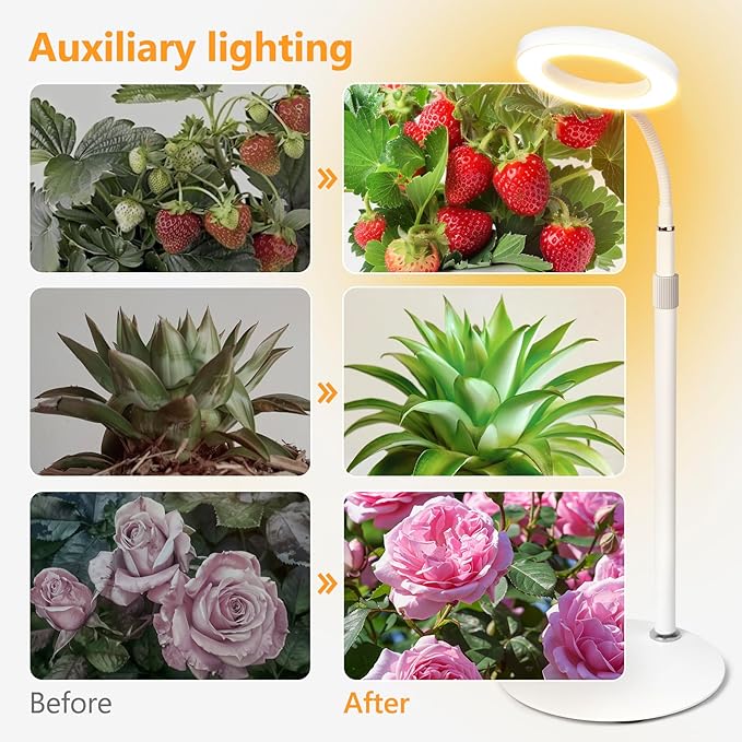 Desk Top Grow Lights for Indoor Plants,Full Spectrum Table Plant Light,24.2" Telescope Stand,UV LED Red Blue Halo Growing Lamp,Adjustable Gooseneck,Auto Timer,3 Lighting Modes,10-Level Dimmable