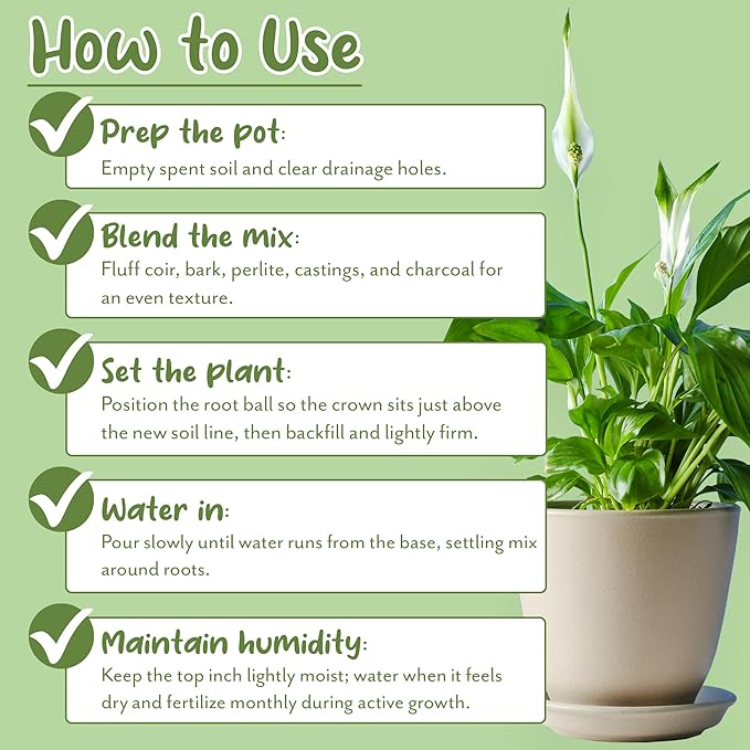 Aroid Plant Potting Soil Mix (8 Quarts), for Pothos Devil's Ivy, ZZ Plant, Chinese Evergreen, Dumb Cane, Philodendron, Syngonium, Alocasia, Colocasia Etc.