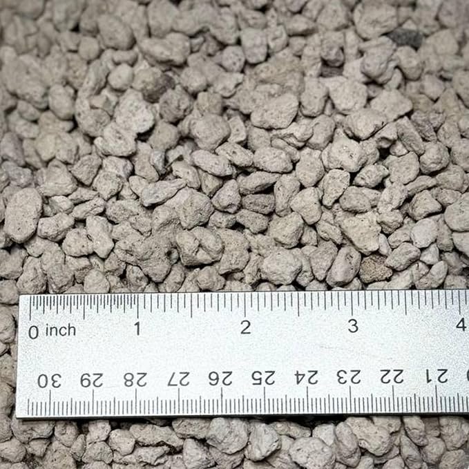 Horticultural Pumice for Plants, Natural Pumice Stone Soil Amendment, 3/8-1/4 inch, Made in USA (1 Quart - 0.9 lb)