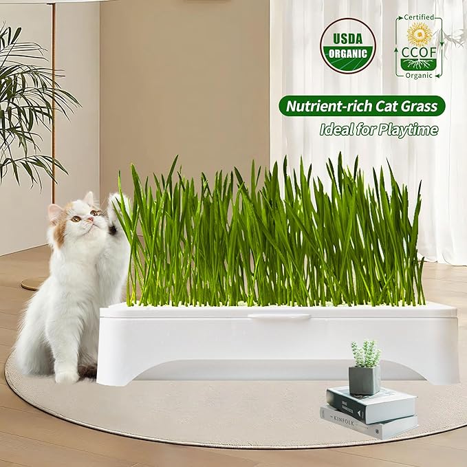 The Environet Cat Grass for Indoor Cats, Cat Grass Kit with Organic Seeds Mix and Hydroponic Sprout Tray, 100% Non-GMO, Hairball Control, Digestion Support, Ideal Gift for Cat Lovers