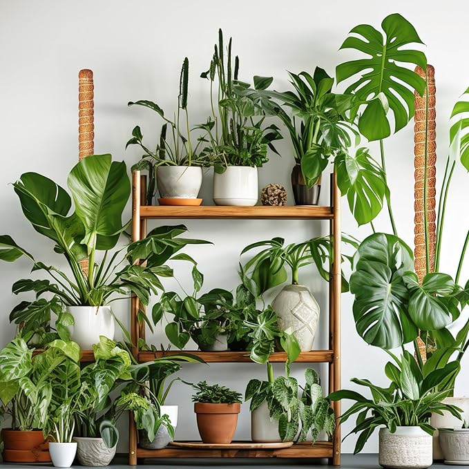 Joyhalo Bendable Moss Pole for Plants, 48 Inch Monstera Plant Support Stakes, Moss Poles for Climbing Plants with Jute Rope, Coco Coir Pole Indoor Plant