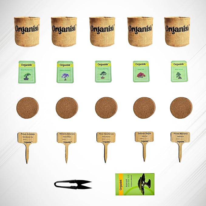 Bonsai Starter Kit - 5 Unique Tree Types, Special DIY Garden Hobby Kits - Great for Plant Lovers, for Kids, Men, Women, and Bonsai Enthusiasts