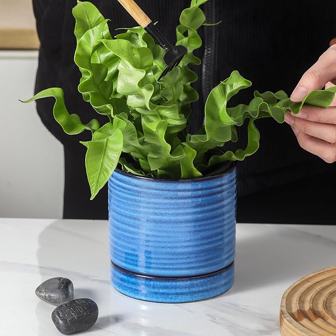 Hasense Small Plant Pots, 4.6 Inch Porcelain Planters with Drainage Holes and Tary, Mini Pots for Flower, Succulents, Cactus, Herbs, Modern Blue Decorative for Home Kitchen Office, Set of 4