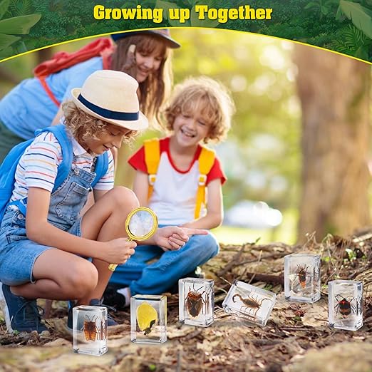 15 Insect specimens,Real Specimens of Various Butterflies and Beetles Made of Resin, Used for Science Classroom Science Education Animal Specimens, Bug Preserved,Oddities, Biology (15 Pcs Beetles)