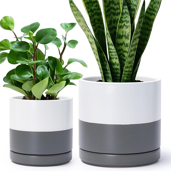 D'vine Dev 6.5 Inch & 8.2 Inch Ceramic Planter Pots for Plants with Drainage Hole and Saucer, Medium Plant Pots Set, White/Speckled Grey, 94-G-M-6