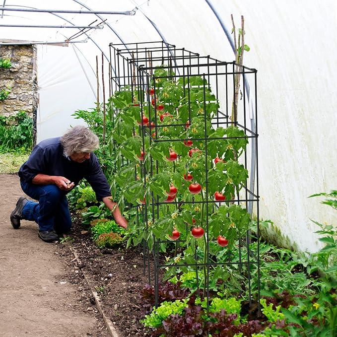 S AFSTAR 4 Pack Folding Tomato Cages, 39 Inches Tall Square Plant Support Cage for Garden Climbing Plants Flowers Fruits, Heavy Duty Tomato Vegetable Trellis