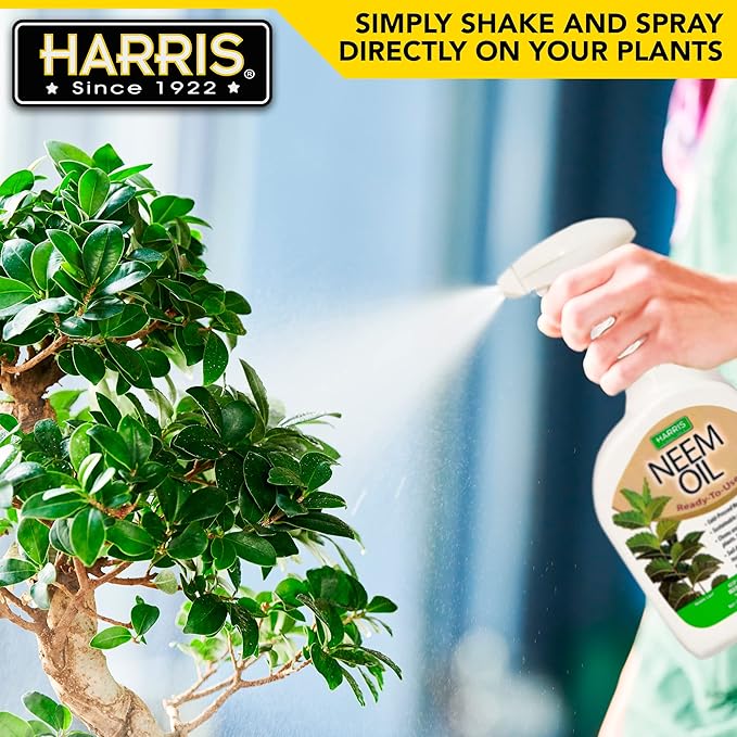HARRIS Neem Oil Spray for Indoor and Outdoor Plants, Cold Pressed Ready to Use, 20oz