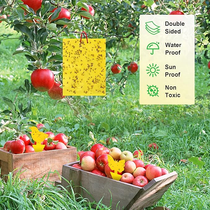 36 Pcs Combo Sticky Traps for Fungus Gnat (Plants), Flying Insect, Whitefly and Fly, Yellow Sticky Insect Catcher Traps for Indoor/Outdoor, Kitchen, and Plants, High-End Glue, Non-Toxic, 5 Shapes