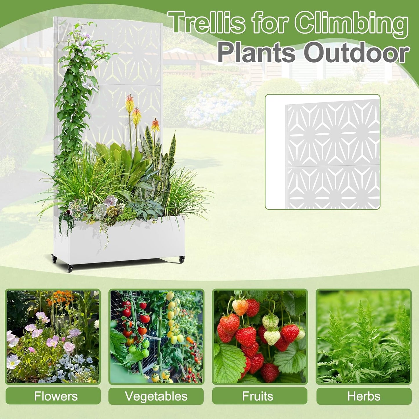 Raised Garden Bed with Trellis and Wheels,73"x35"x16" Metal Raised Garden Bed,White Star Metal Planter with Climbing Trellis for Vines & Vegetables