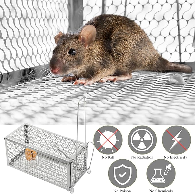 Qualirey 2 Pcs Humane Rat Trap Chipmunk Rodent Mouse Squirrel Trap Small Live Animal Mouse Voles Hamsters Live Cage Rat Mouse Cage for Mice Easy to Catch and Release (Silver)