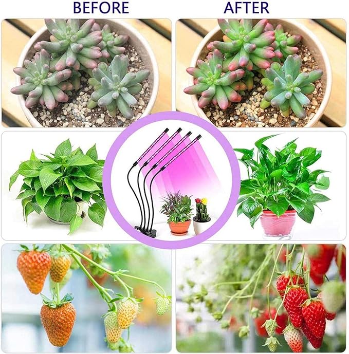 LED Grow Lights for Indoor Plants, 80W Plant Grow Lights Full Spectrum Auto ON Off with 3/9/12H Timer, 9 Dimmable Lightness Clip-On Desk Grow Lamp Bulbs (4 Heads)