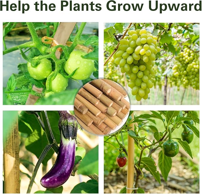 Bamboo Stakes 2FT 35pcs, 24 inch Garden Stakes Multi-Purpose, Bamboo Plant Support Stakes for Beans, Peppers, Flowers, Potted, Maintain The Plant Posture, Strengthen and Stem