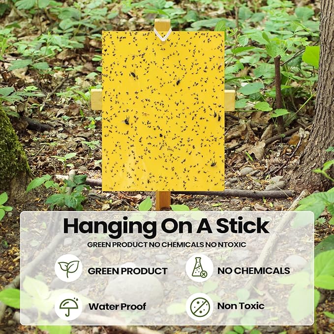 Qualirey 200 Pcs 6 x 8 Inch Sticky Traps for Gnats Dual Sided Fruit Fly Sticky Traps for Indoor and Outdoor Plant with Twist Ties and Plastic Holders for Flying Plant Insect, Fungus Gnats (Yellow)