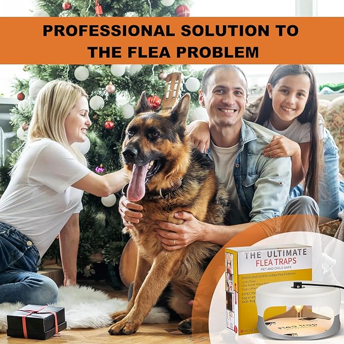 Qualirey 6 Pack Flea Traps with Sticky Disc Bulbs Flea Traps for Inside Your Home Flea Light Trap for Indoor Safe to Pets (White Gray)