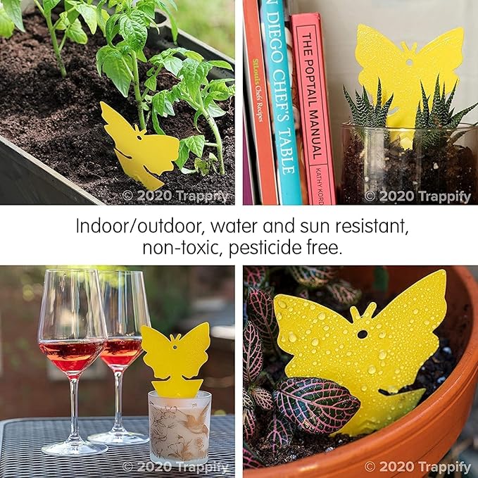 Trappify Sticky Gnat Traps for House Indoor - Yellow Fruit Fly Traps for Indoors|Outdoor Plants | Insect Catcher for White Flies, Mosquitos, Fungus Gnats | Disposable Glue Fly Trap Indoor (100 Pack)