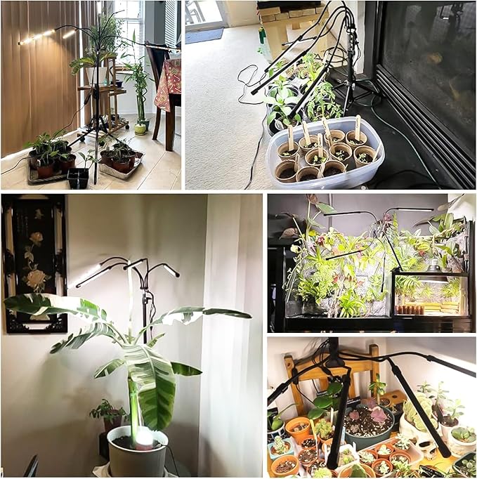 Garpsen Grow Lights for Indoor Plants, [2Pack] 100 LEDs Full Spectrum Plant Light with Timer 6/12/16H, 6000K Grow Lamp with 15~63''Adjustable Stand & Gooseneck, 3 Light Modes, 5 Levels Dimmable