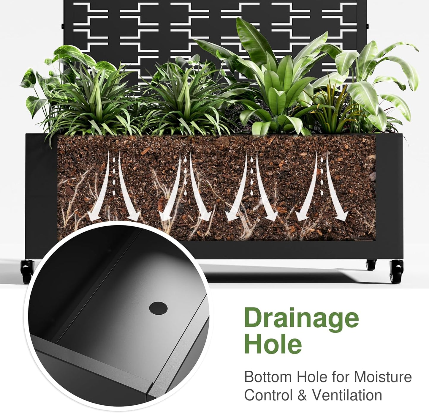 Casaphoria Metal Raised Garden Bed with Trellis and Wheels, 72"x35"x16" Planter Box for Climbing Plants, Vegetables & Vines, Features Drainage Holes and Privacy Screen (Black-Square)