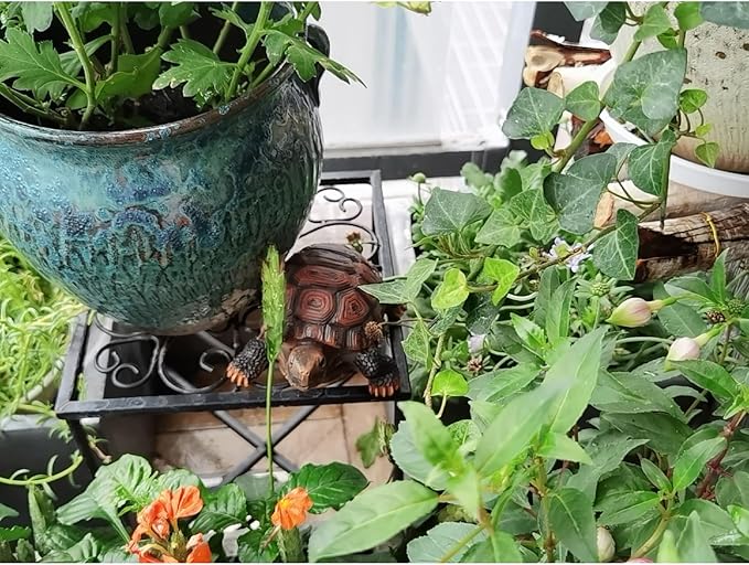 AETVRNI Turtle Figurine Garden Statue Resin Animal Sculpture Realistic Turtle of Polyresin Garden Patio Lawn Yard Outdoor Decorative,M