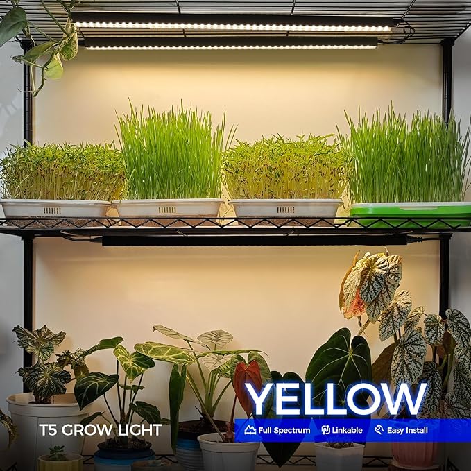Barrina T5 Plant Grow Lights for Indoor Growing, 2FT 80W (8 x 10W) Full Spectrum LED Grow Light, Black Cover Growing Light Strips with Switch, Magnetic Installation, Plug and Play, Yellow, 8 Packs