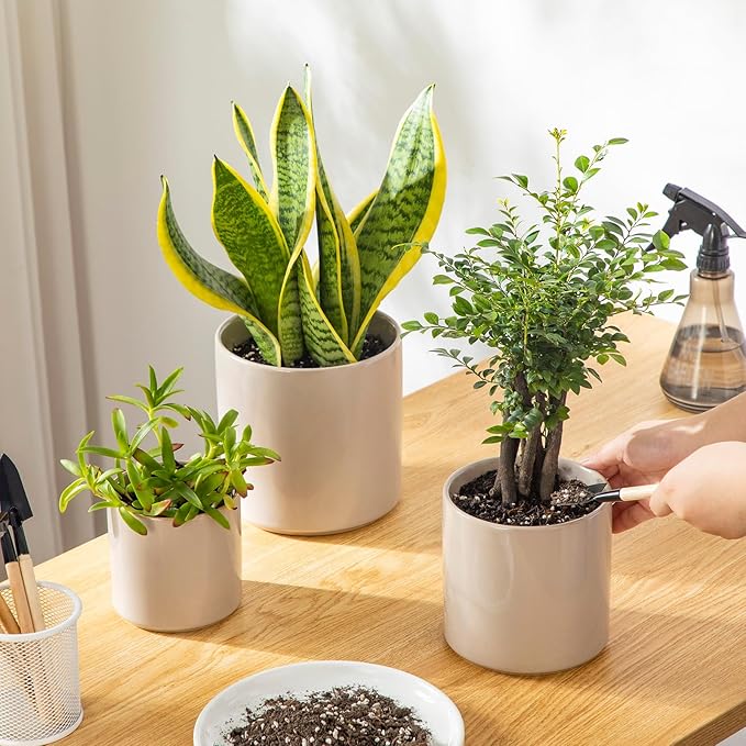 vancasso Ceramic Plant Pots, 4.25+5.25+6.25 Inch Planter Pot with Drainage Hole, Flower Pots for Indoor Outdoor Plants, Set of 3, Grey