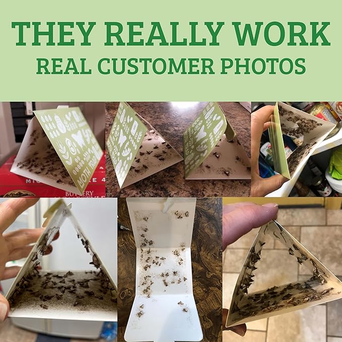 Superior Pantry Moth Traps 6-Pack with Pheromones Prime | No Insecticides | Safe, Non-Toxic and Child and Pet Friendly Pantry Protection | Superior Attractant