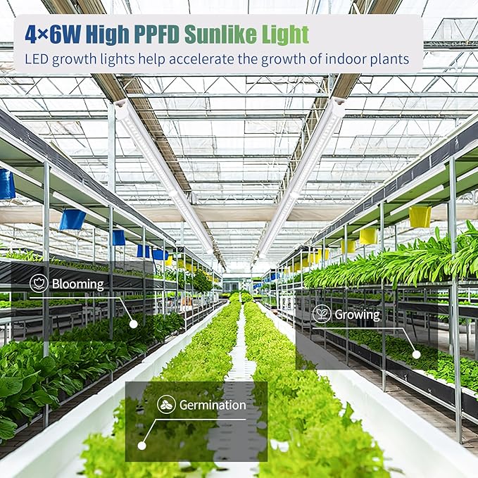 Grow Lights for Indoor Plants, 5000K White Full Spectrum LED Growing Lamp, 1FT T5 Plant Growing Light Strips for Greenhouse Seed Starting, Vegetables, Plug and Use, 4-Pack