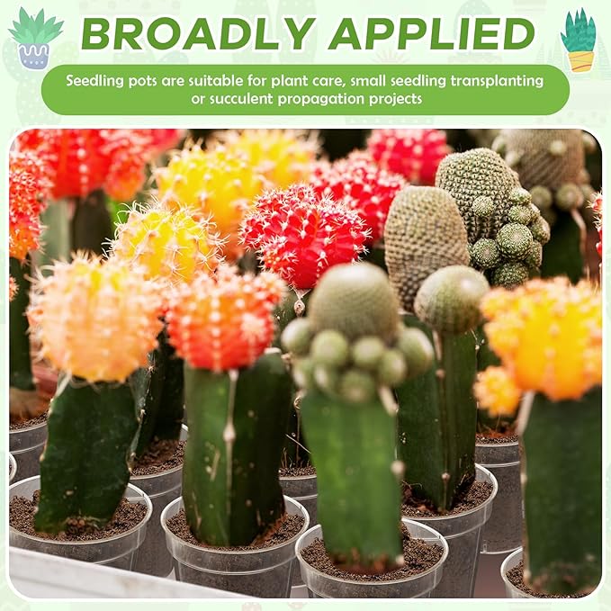 Yaomiao 80 Pcs 3 Inch Clear Mini Plastic Plant Pot Nursery Seedling Pots Seed Starter with Drainage Holes for Indoor Outdoor Garden Succulent Plants Cuttings Transplanting