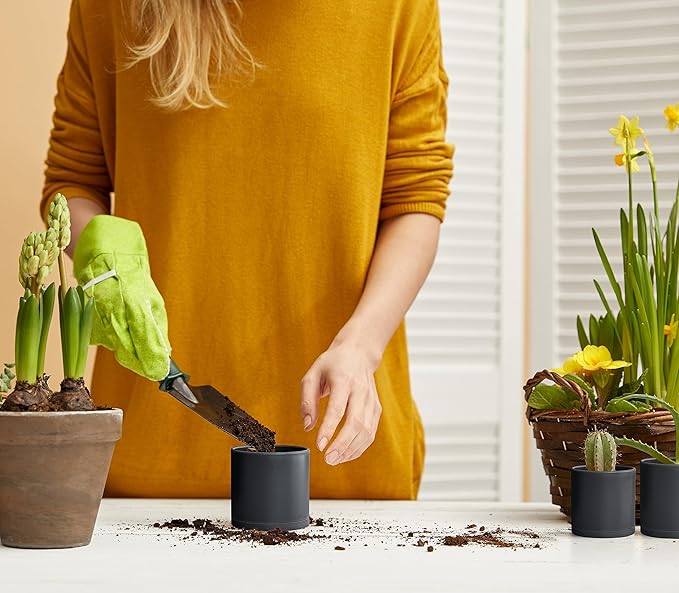 D'vine Dev 12 Pack 3 Inch Mini Plastic Plant Pots, Small Garden Planters for Plant with Drainage Holes and Saucers, Black Color, 74-Y-C-4