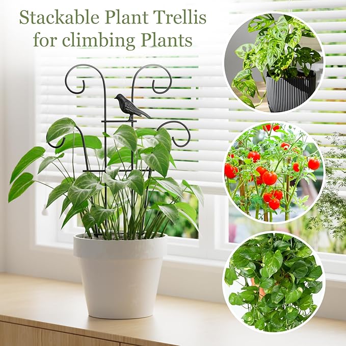 Plant Trellis for Climbing Plants Indoor, 3 Pack Metal Garden Trellis for Potted Plants, Rustproof, Sturdy Climbing Plant Support for Indoor & Outdoor Houseplants