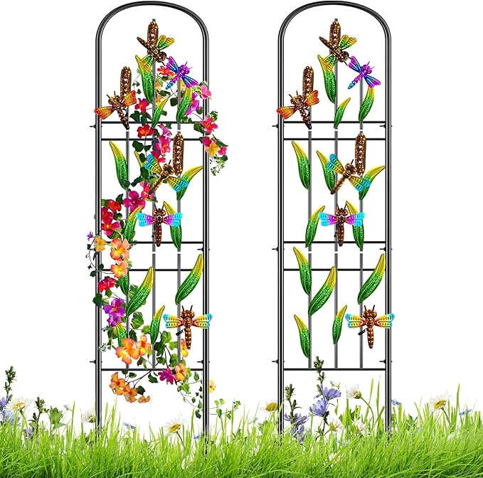 2 Pack Garden Trellis for Climbing Plants Outdoor, Metal Arched Fence Trellis Plant Climbing Support Decorative, Plant Trellis Indoor for Vines Flowers Vegetables Wall Brackets, 60" x 11"