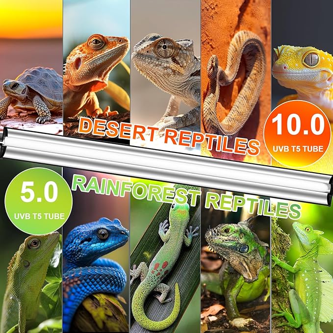8W T5 10.0 UVB Reptile Light Fixture 12" – High Output UVA UVB Light for Bearded Dragons, Turtles & Snakes – Compact UVB Lamp for Desert & Tropical Reptiles (UVB 10.0-Desert, 12INCH-8W)