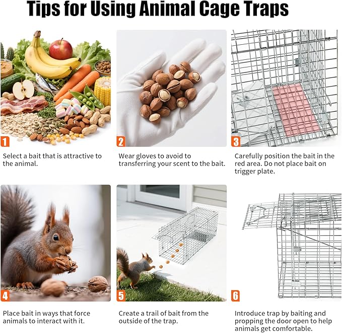 31" Live Animal Trap, Heavy Duty Folding Squirrel Traps Outdoor, Humane Catch & Release Cat Trap for Stray Cats, Raccoons, Squirrel, Skunk, Mole, Groundhog, Armadillo, Rabbit