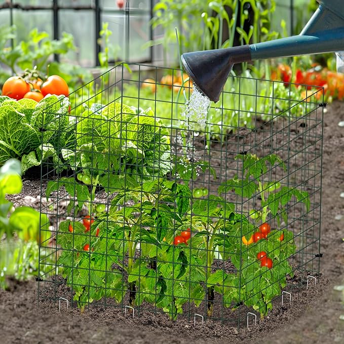 12 PCS Plant Protectors Covers from Animals, Metal Mesh Wire Plant Fence Protector Cage Garden Fence Animal Barrier Small Garden Fences Protection Chicken Wire Cloches from Animals for Outdoor Plants