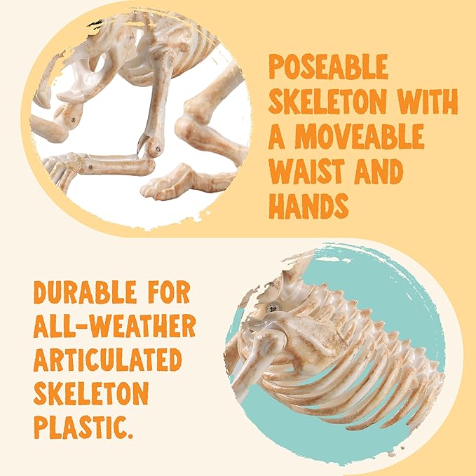 JOYIN 2 PCS Rats Skeleton Halloween Decoration 11 Inch Long Small Animal Skeleton Plastic Mouse Bones for Yard Garden Lawn Patio Graveyard Haunted House Halloween Party Favors Decor