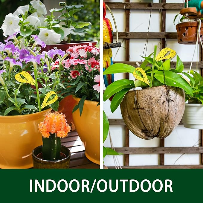 30PCS Fruit Fly Traps for Indoors Gnat Traps for House Indoor Yellow Sticky Traps for Plants Catcher for Whiteflies Fungus Gnat Mosquitoes Thrips... Stake Holders Included