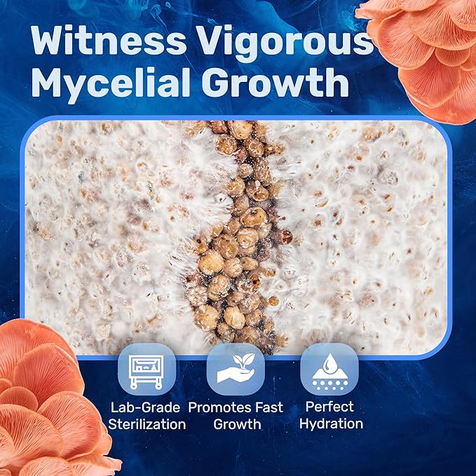 Surfin' Spores Mushroom Growing Grain Jars, Sterilized Hydrated Grain Spawn | 32 oz Glass Jars w/Self-Healing Injection Ports & Filter | Milo, Oyster Shell, & Gypsum Blend | 1 lb Per Jar (Four Pack)