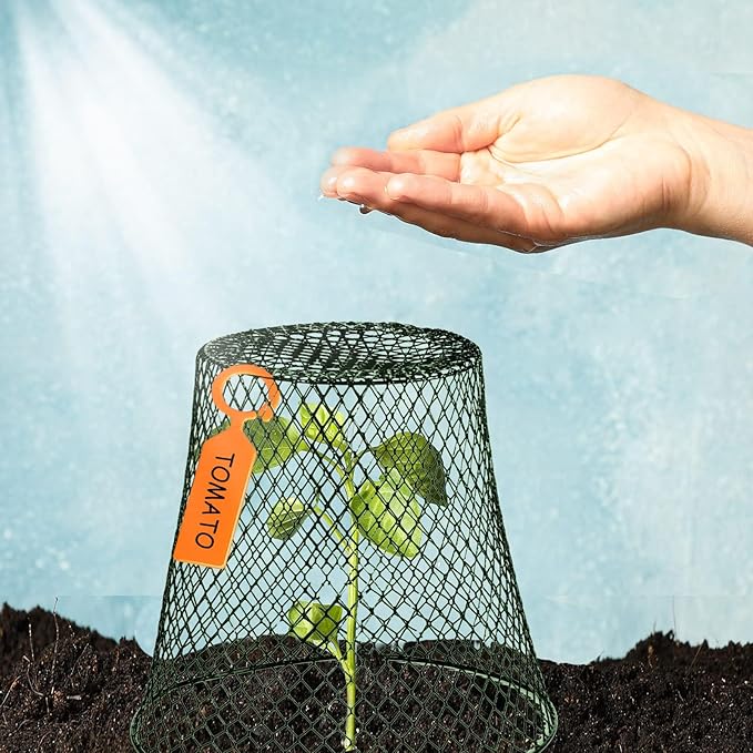 10 Pcs Garden Chicken Wire Plant Covers, 11x11Inch Metal Wire Garden Cloches Chicken Wire Cloche Plant Protector Heavy Duty Garden Plant Cloche for Keeping Bunnies Chicken Squirrels Birds Other Out