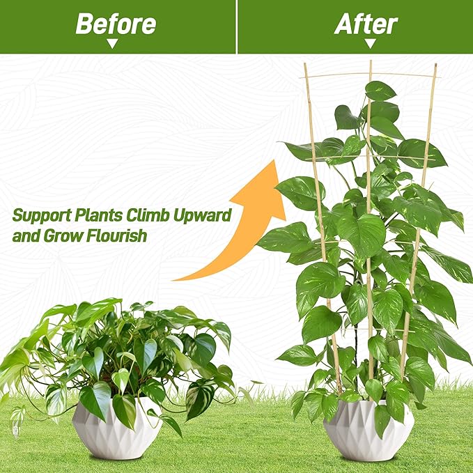 Avalution 10 Pack Bamboo Trellis for Climbing Plants, 4 FT Garden Ladder Trellis for Potted Plants Indoor, Fan-Shaped Small Plant Support Trellis for Houseplants Ivy Hoya Vine Monstera