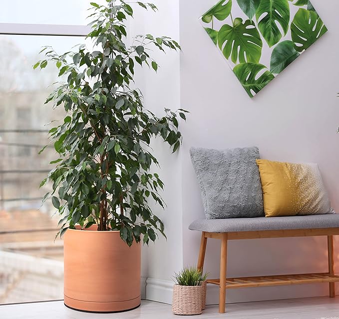 D'vine Dev X-Large 12 Inch Terracotta Plant Pot with Drainage Hole and Saucer, Round Cylinder Planter Pot for Indoor Plants, 40-X-A-6