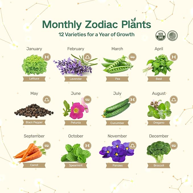 Lush&Dew Gardening Gift for Women Men, Zodiac Garden Seed Bank, 12 Types Non-GMO Vegetables Flower Seeds in Seed Organizer, Magnetic Gift Box, Witchcraft Supplies with Moon Calendar (Air Signs)