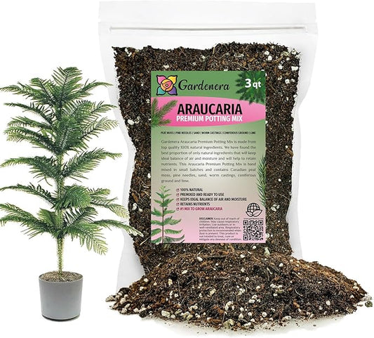 Premium Araucaria Potting Soil Mix - Perfect Balance of Nutrients, Drainage, and Aeration for Healthy Araucaria Trees - 3 Quart