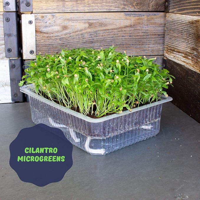 Self Watering Indoor Microgreens Kit - Complete Soil Microgreens Growing Kit for Vegetable Seeds & Herb Seeds - Black Sunflower Seeds, Pea Shoots Microgreen Seeds, Swiss Chard Seeds, & Cilantro Seeds