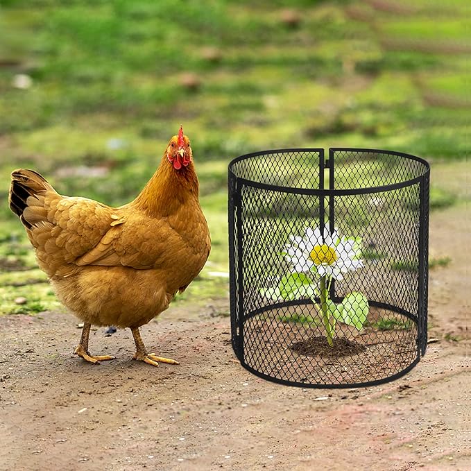 4 Pack Metal Plant Cage Protectors from Animals-11.8 x 11.8 Inch Garden Plant Protector - Sturdy Bunny Barricades Chicken Wire Cloche Plant Protectors for Keeping Bunny Animals Out