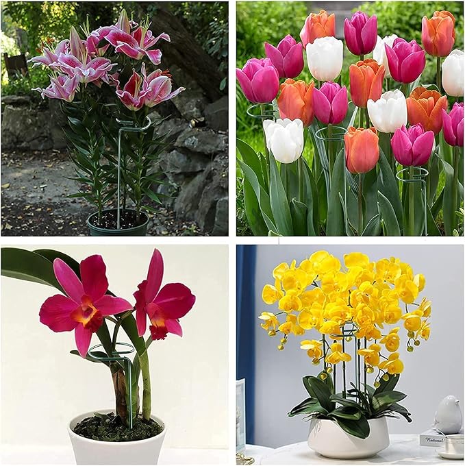 Joyhalo 20 Pack Plant Support Stakes 24 Inch, Plant Stakes, Flower Stakes with 24 Twist Ties, Garden Sticks for Plants Iris, Dahlia, Gladiolus, Amaryllis, Rose, Sunflower, Tomato, Sapling Etc