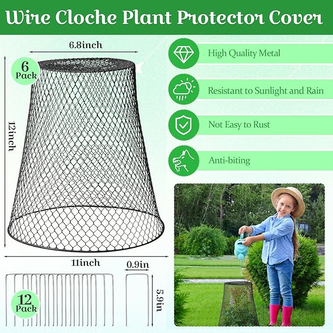 Therwen 6 Pcs Large Chicken Wire Cloche Plant Protector Cover 11x12 Inch Metal Garden Cloche Dome for Plants Wire Protection Basket with Garden Stakes Plant Cages from Animals (Black)
