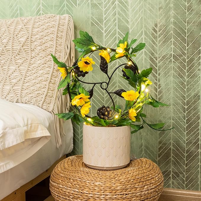 2 Pcs 14in Indoor Metal Garden Circle Plant Trellis for Houseplant Climbing Pot Plants, Black (Style E)