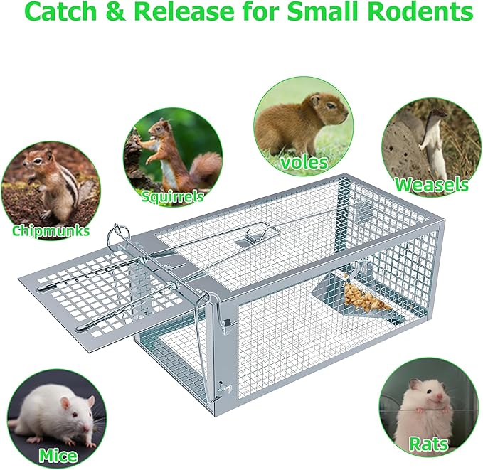 Humane Rat Traps 2-Pack, No Kill Small Animal Mouse Squirrel Cage Traps, Vole Mice Live Cage Catch and Release, Chipmunk Rodent Trap Mouse Traps That Work for Indoor and Outdoor