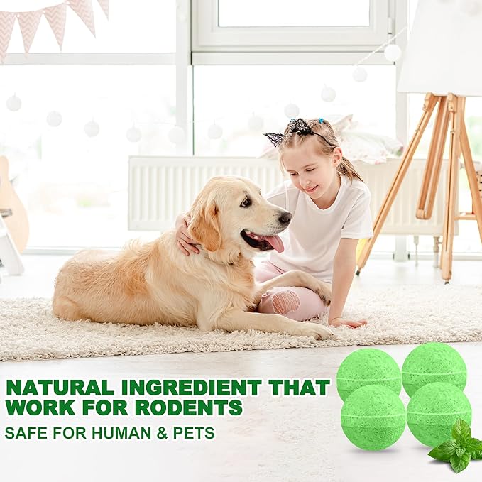 24 Pack Mouse Repellent for Outdoor, Natural Keep Rodent Away Deterrent with Long-Lasting Protection for Home, Car, Garage, Safe for Family