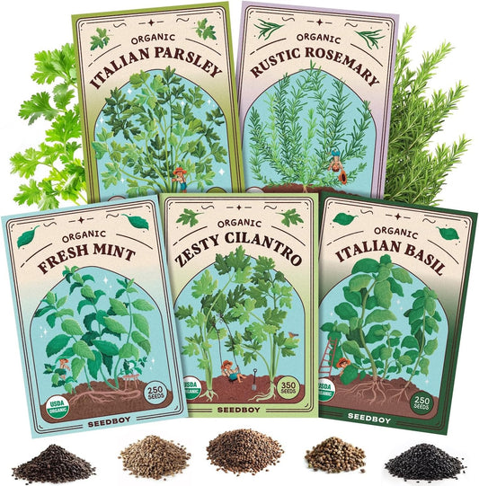 Seedboy Organic 5 Herb Variety Pack: Basil, Mint, Rosemary, Parsley, Cilantro for Planting Indoor and Outdoor, Non-GMO and USDA Certified Seed Packets (5 Herb Variety Pack)